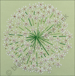 PR0029 - Allium - 4.50 GBP